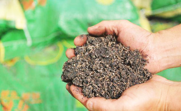 生产一吨有机肥需要多少成本
