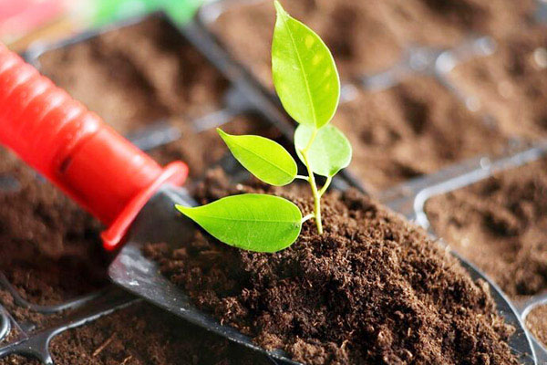 你买的有机肥料是什么造的，你真的懂了吗？